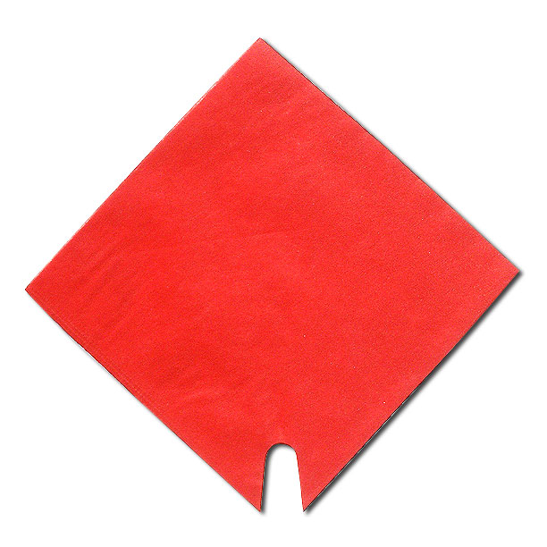 6463-Fiber Square Red