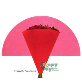 NEW Fiber Cone Half Circle Sheets