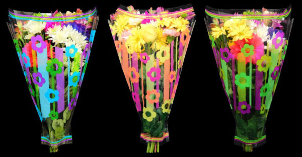 Linear Sleeves-NEW for Spring 2019