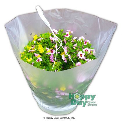 #8807-C - 1022/HBSDT For 10" Hanging Basket