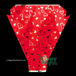 Shiny Hearts Red Sleeve