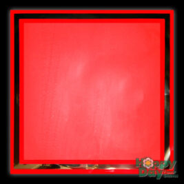 NEW Red Frosted Plastic Sheet with Line
